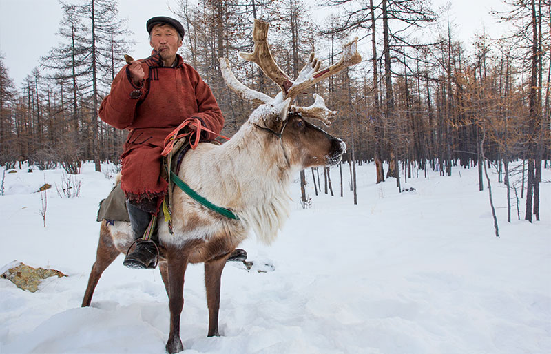 mongolia reindeer people